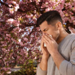 Rekordmængder af regn forværrer pollensæsonen