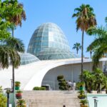 Esteponas Orchidarium næstbedst i verden