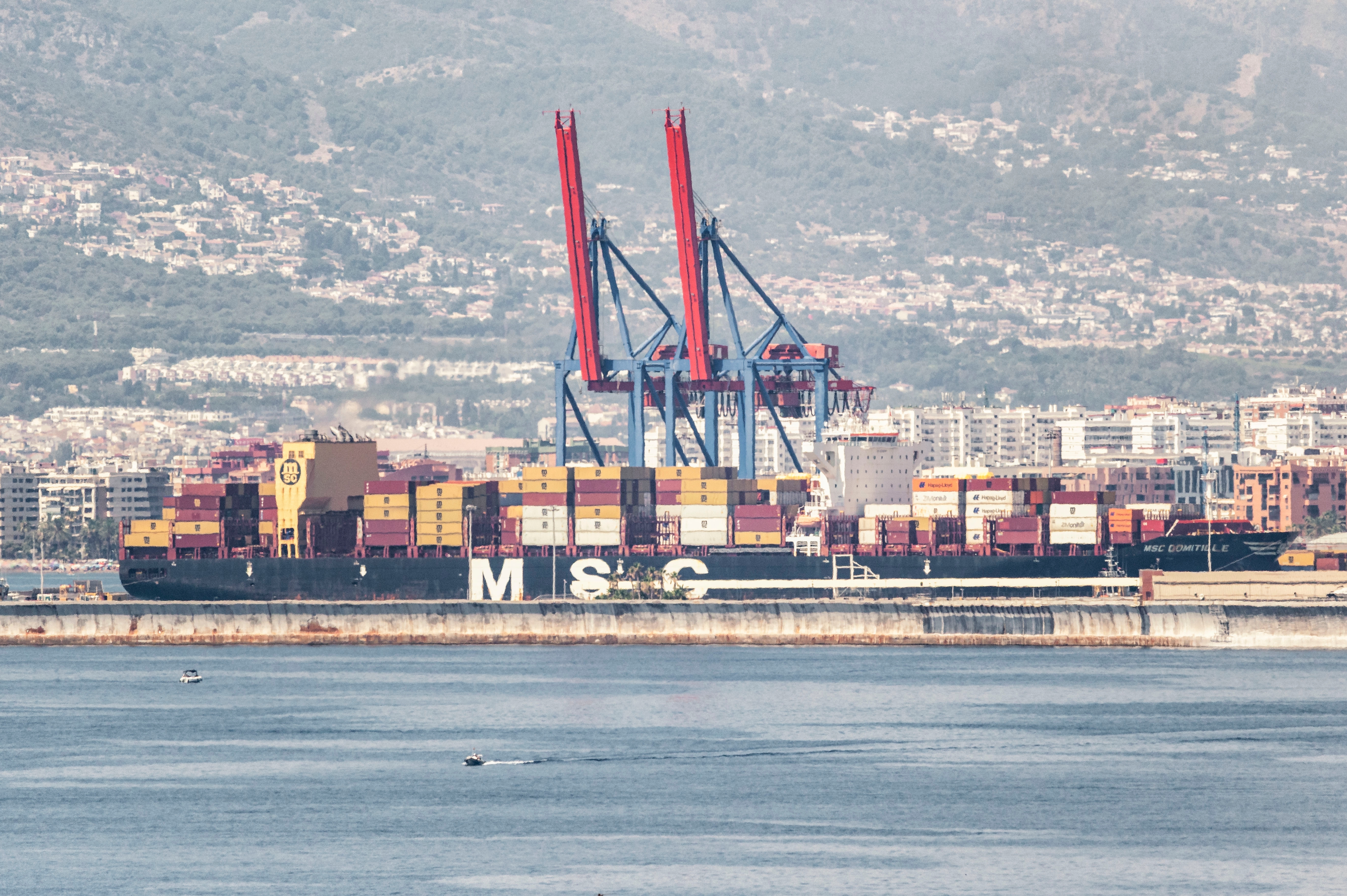 shutterstock_2662254017