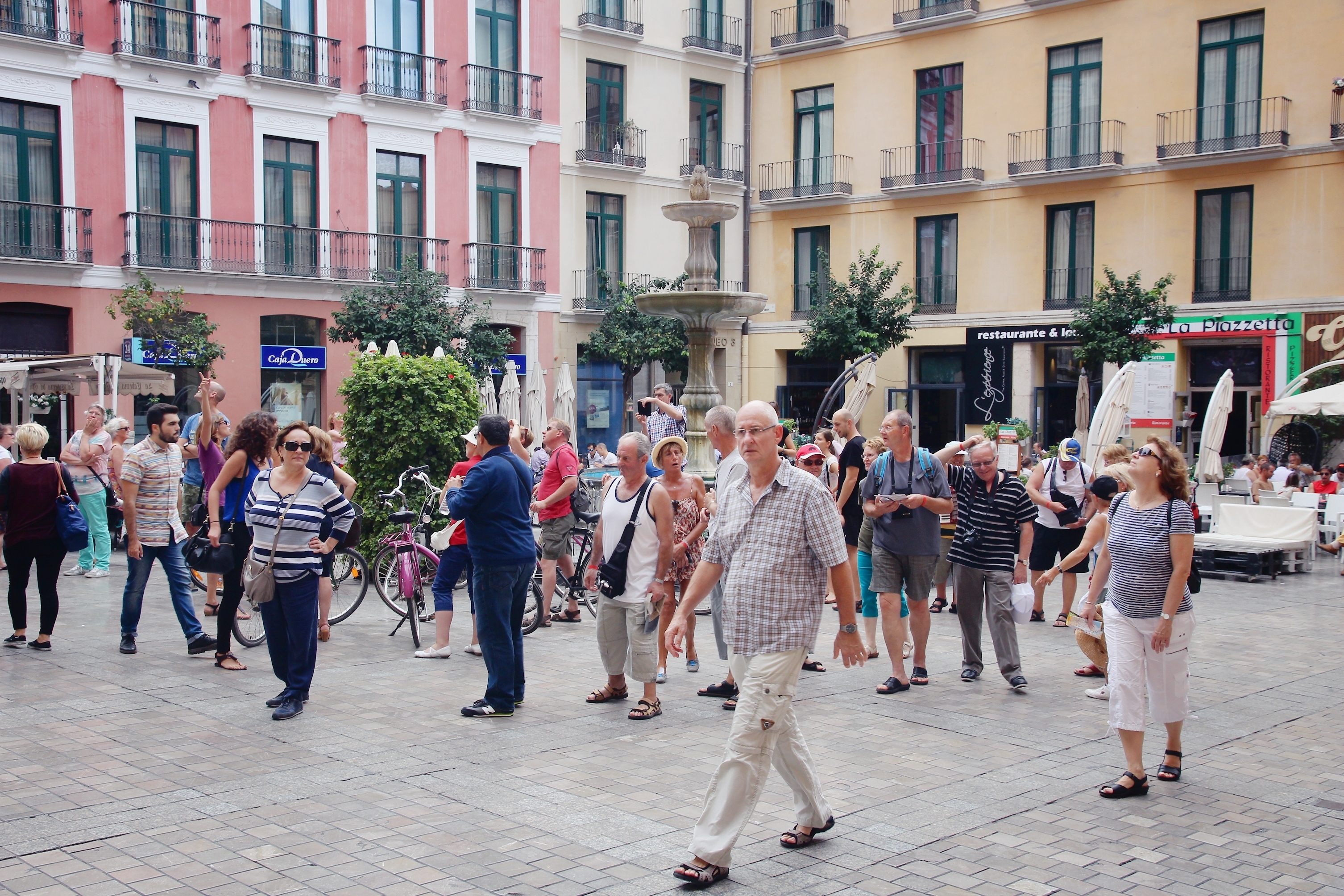 shutterstock_439921924