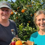 Den søde drøm med sure citroner