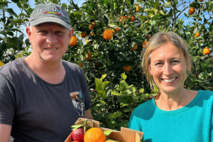 Den søde drøm med sure citroner