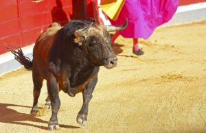 Tyr stanger mand ihjel