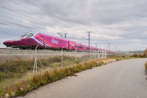 Sporfejl overset før togulykke