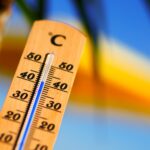 Skygge i sommervarmen