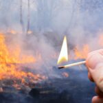 Brandstifter anholdt i Vélez-Málaga