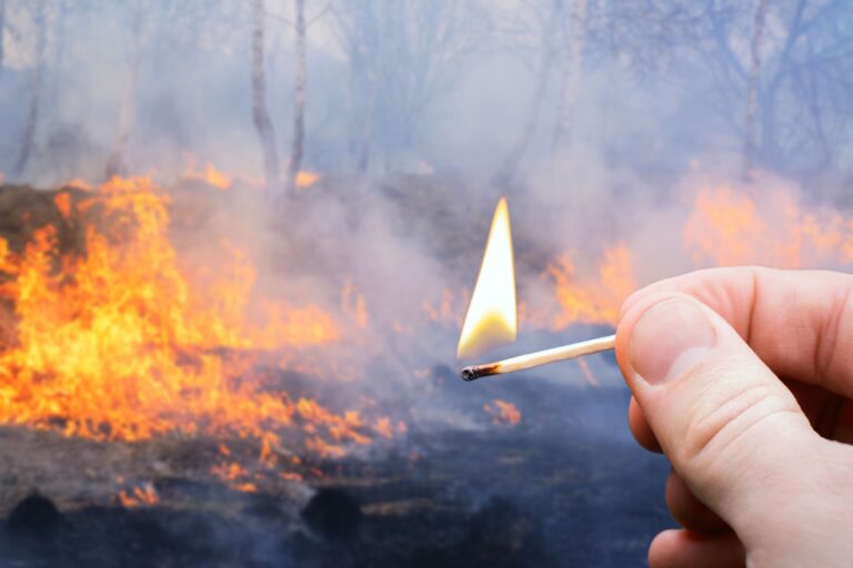 Brandstifter anholdt i Vélez-Málaga