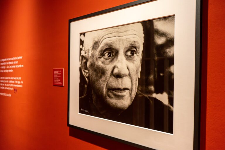 Picasso fejres med åbne døre