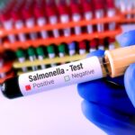 40 bekræftede tilfælde af salmonella i Benalmádena