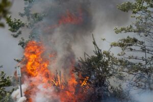 Risiko for skovbrande trods årstiden